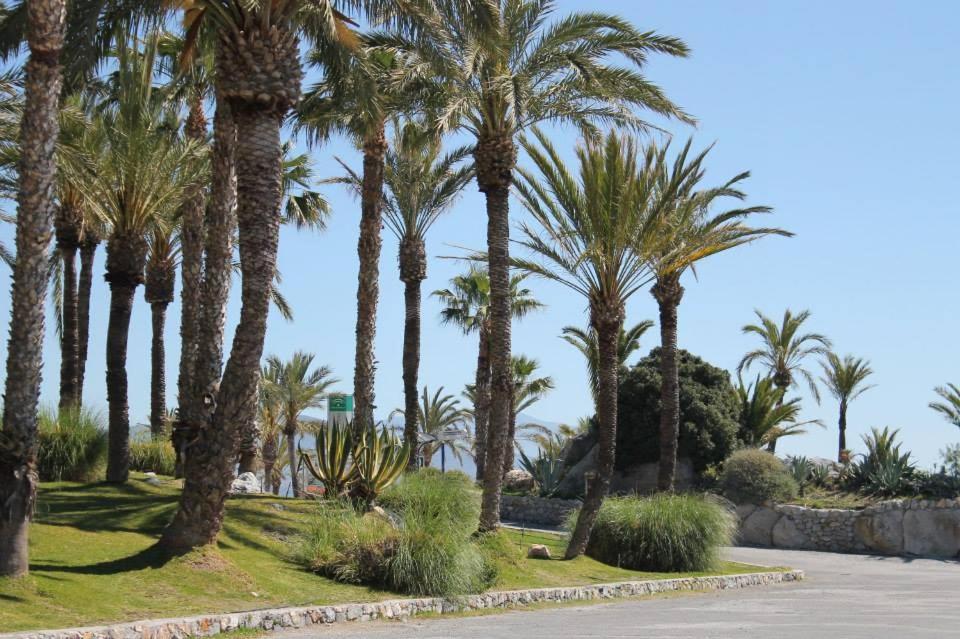 Coral Paradise Apartment With Swimming Pool La Herradura  Esterno foto